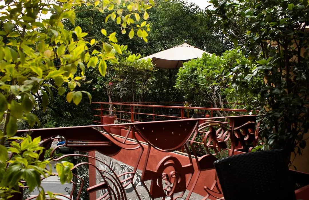 The Red Tree House-1