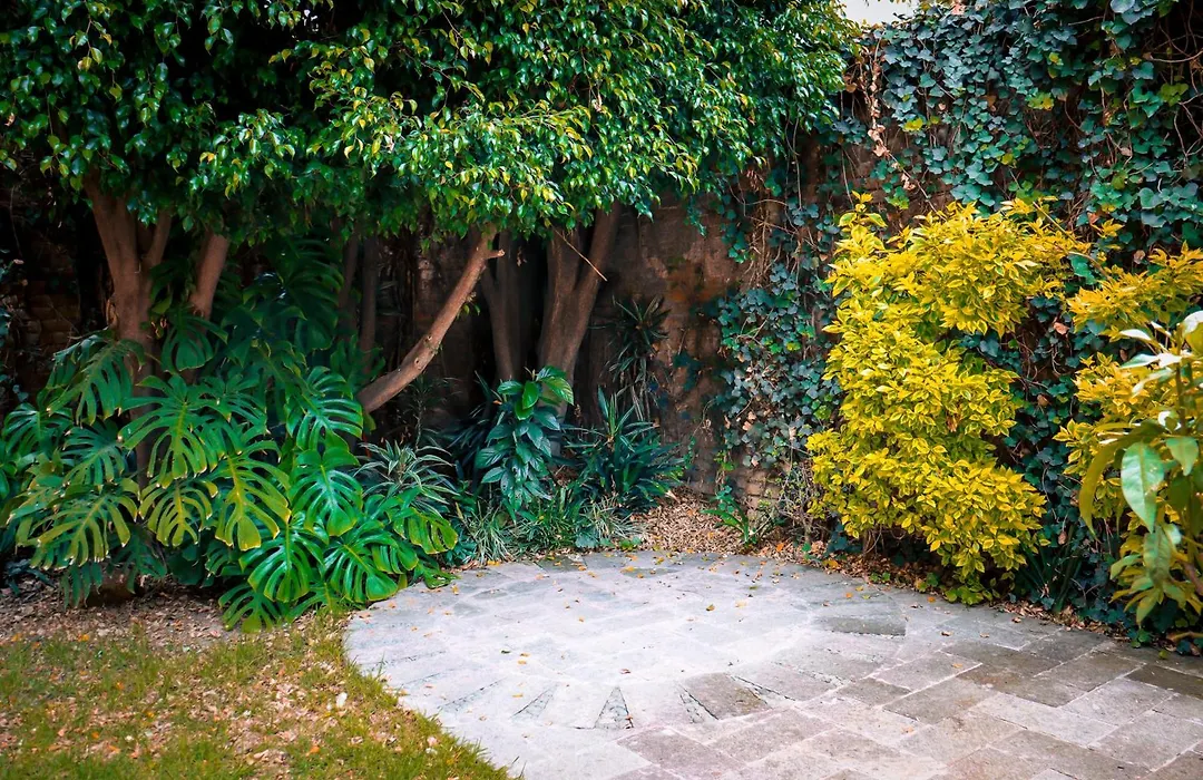 Suites Cuija Coyoacan-1