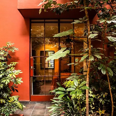 The Red Tree House-3