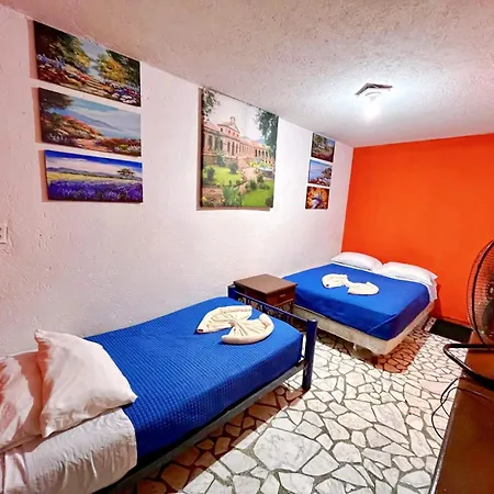 Casita Del Arbol-3
