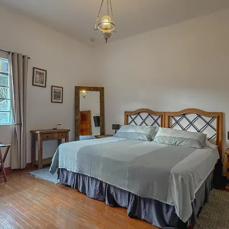 Condesa Haus Rentals-3
