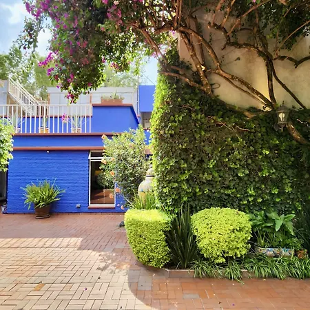 Casa Tamayo-2